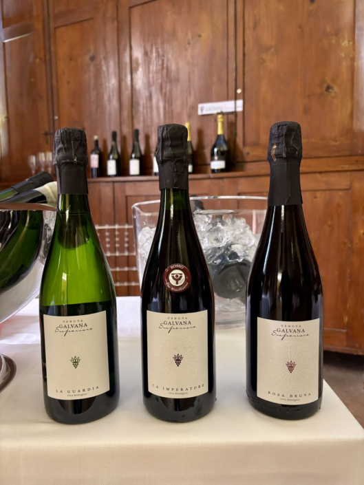 TENUTA GALVANA SUPERIORE CASTELVETRO MODENA – GALLERIA 002_web