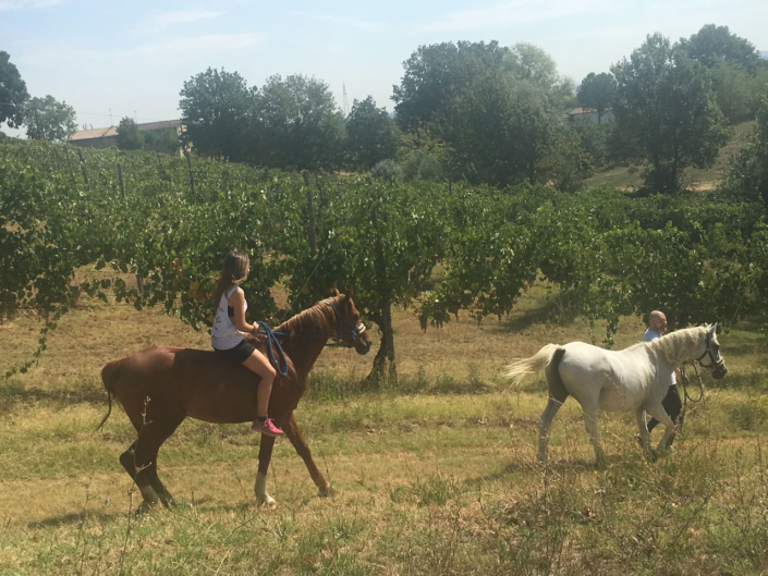 TENUTA GALVANA SUPERIORE CASTELVETRO MODENA – GALLERIA 004_web