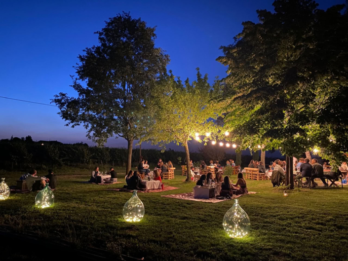 TENUTA GALVANA SUPERIORE CASTELVETRO MODENA – GALLERIA 006_web