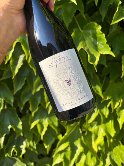 TENUTA GALVANA SUPERIORE CASTELVETRO MODENA – GALLERIA 007_web