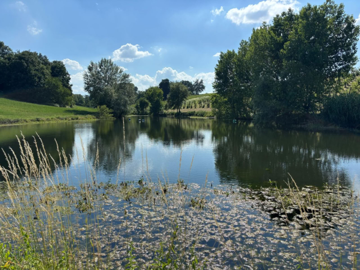 TENUTA GALVANA SUPERIORE CASTELVETRO MODENA – GALLERIA 008_web